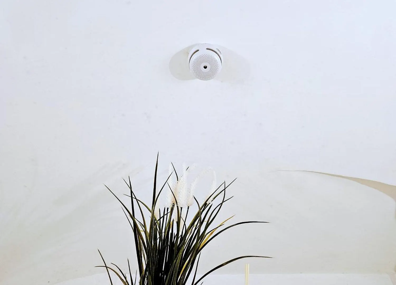 Purgatorio House Appartement Napels